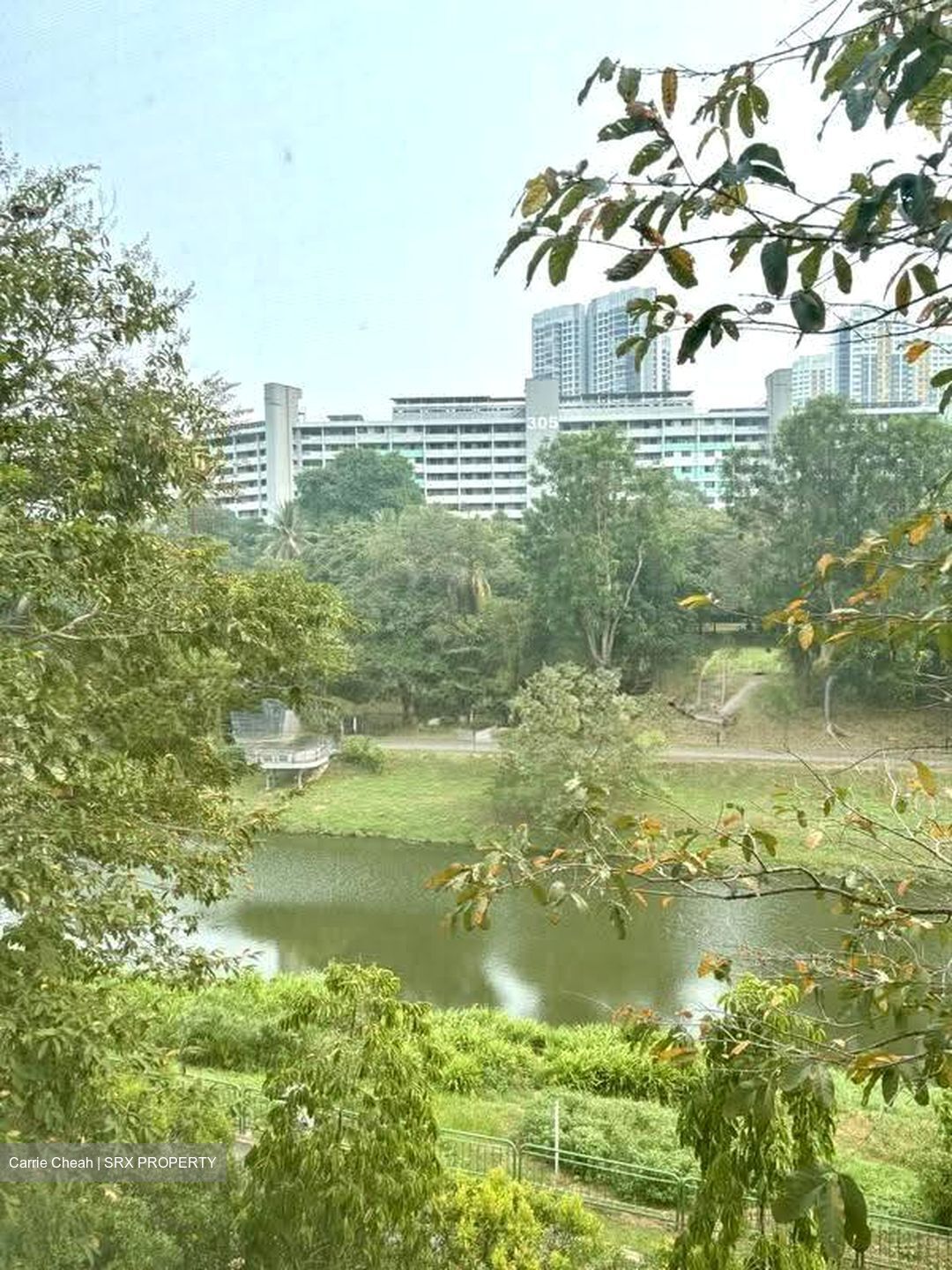 Freesia Woods (D21), Condominium #621165191